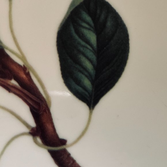 QUEEN'S RHS "Hookers Fruit" Oval Baking Dish - Picture 7 of 7